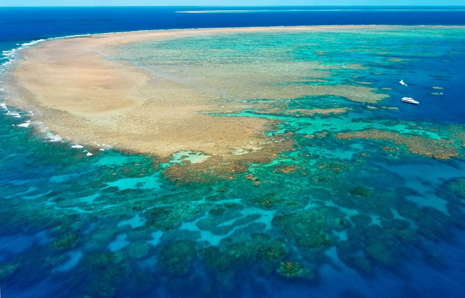 Great Barrier Reef facing unprecedented threats, conservation efforts ramp up